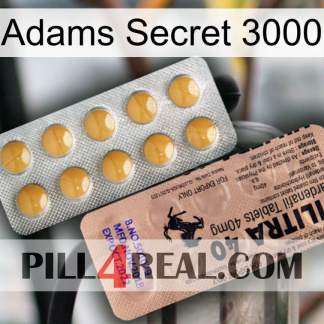 Adams Secret 3000 41